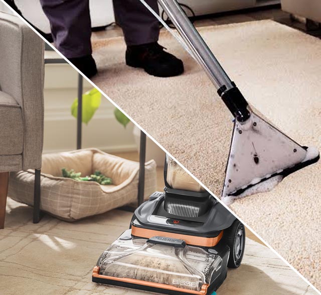 Carpet Maintenance Guide